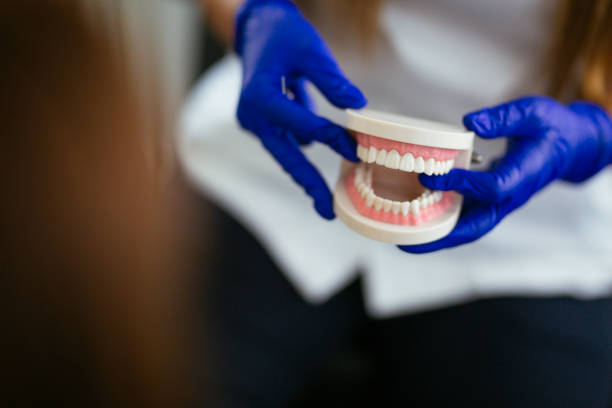 Our Range of Dental Services in Gilbert, MN